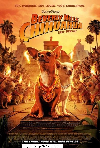 download for free


         




     by johnny beverly hills chihuahua
